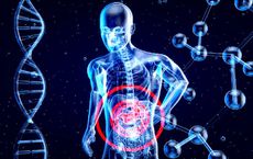 Article Image for Biomonitoring and Health Tracking: The Data-Driven Path to Wellbeing