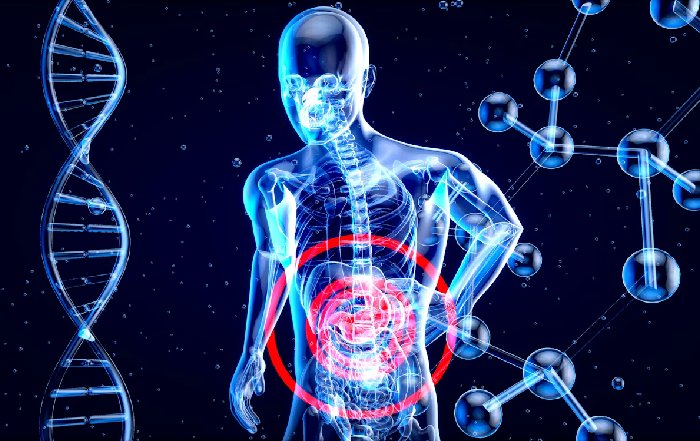 Article Image for Biomonitoring and Health Tracking: The Data-Driven Path to Wellbeing