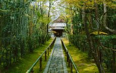 Article Image for Cultural Immersion Travel: Going Deeper Than the Tourist Trail