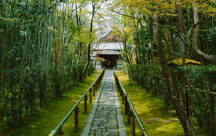 Article Image for Cultural Immersion Travel: Going Deeper Than the Tourist Trail