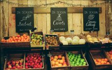 Article Image for Decoding Labels: A Guide to Choosing Organic and Fair-Trade Foods