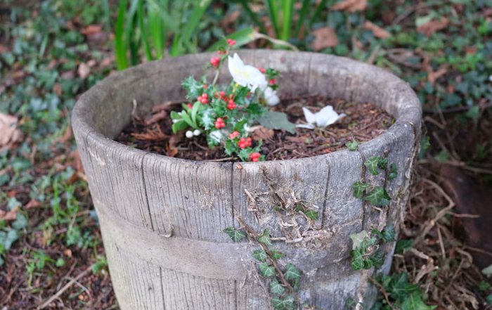 Article Image for How to Create an Effective Home Composting System