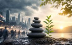 Article Image for How to Find Calm in a Chaotic World