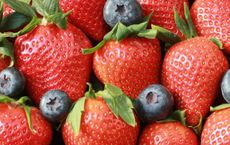 Article Image for How to Incorporate More Plant-Based Foods into Your Routine