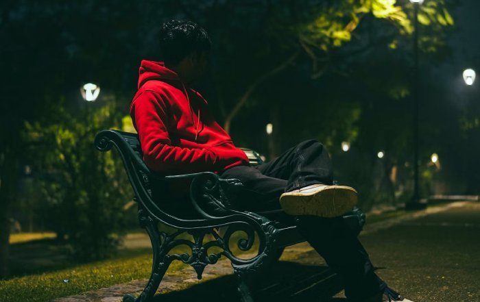 Article Image for Navigating Social Wellness and Combating Loneliness
