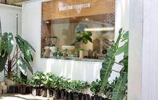 Article Image for Sustainable Practices Reshaping Salons and Wellness Brands