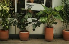 Article Image for Sustainable Salon Operations for a Greener Future