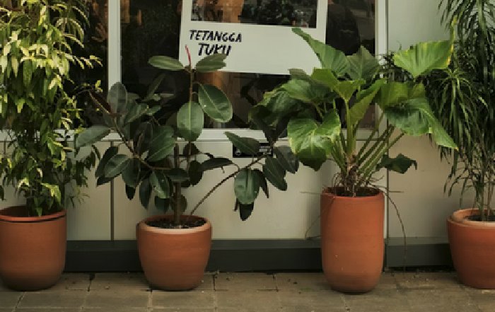 Article Image for Sustainable Salon Operations for a Greener Future