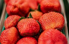 Article Image for The Benefits of Buying Local and Seasonal Produce