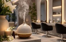 Article Image for The Power of Scent in the Salon Experience
