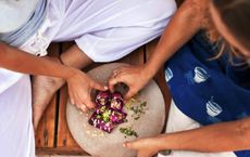 Article Image for The Rise of Wellness-Focused Hospitality Worldwide
