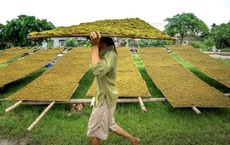 Article Image for The Role of Community in Sustainable Wellness Living