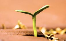 Article Image for Wellness-Focused Business Models That Inspire Growth